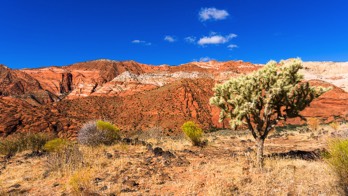  10 Snow Canyon SP 