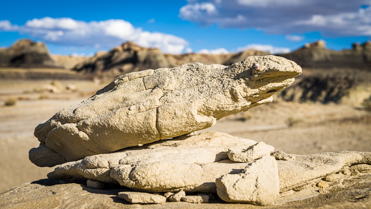  17 Bisti Badlands Wilderness 