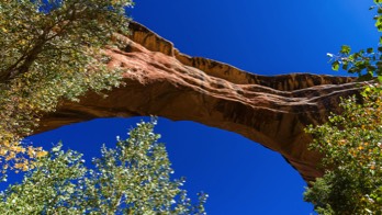  15 Natural Bridges NM 