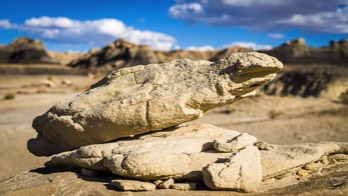  17 Bisti Badlands Wilderness 