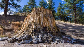  22 Florissant Fossile Beds NM 